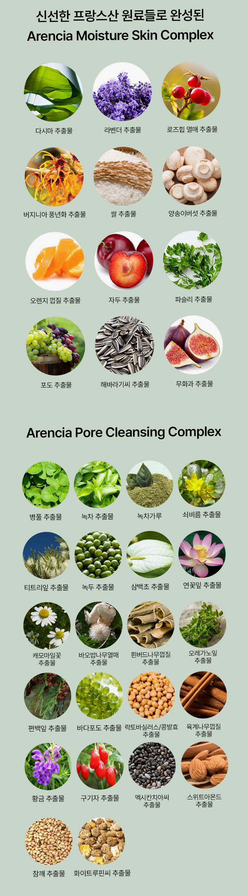 [9월 네이버PICK,증정] 아렌시아 그린 아르티장 스킨 부스팅 떡솝 클렌저 120g, 1개